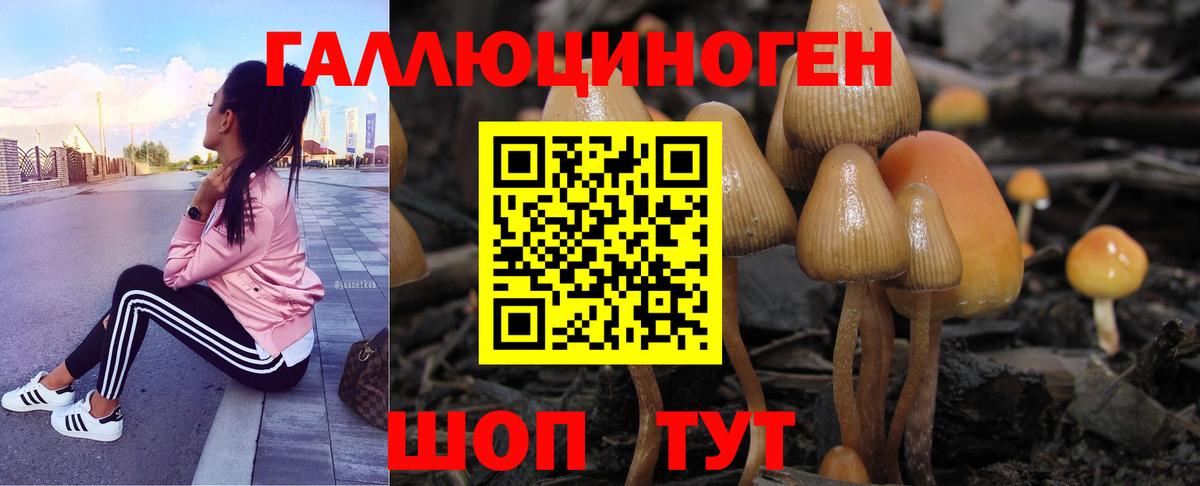 Коркино  Галлюциногенные грибы Psilocybine cubensis  Галлюциногенные грибы Psilocybe  Вход с VPN 